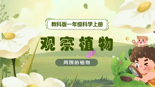 观察植物ppt课件