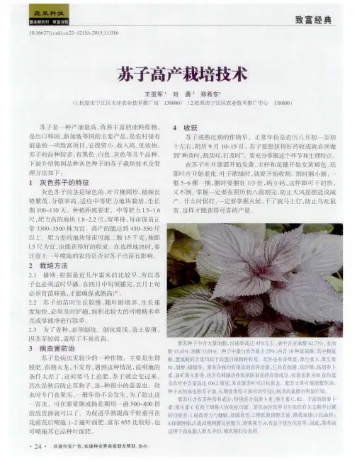 苏子高产栽培技术