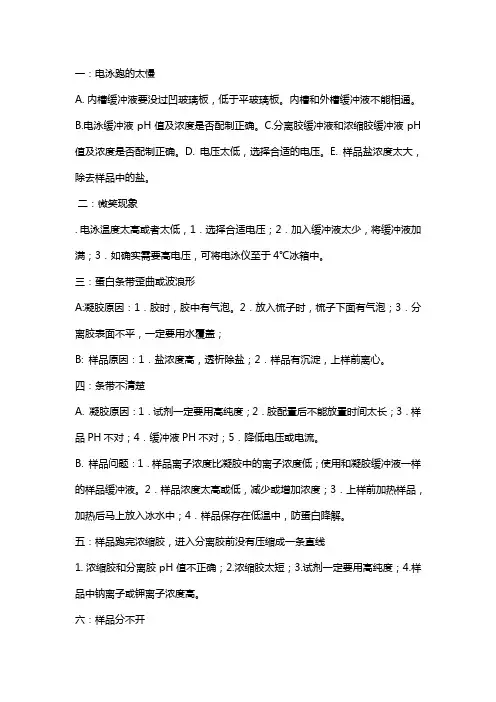 SDS-PAGE问题及解决方法