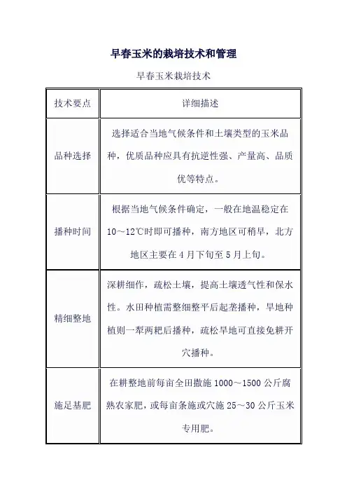 早春玉米的栽培技术和管理