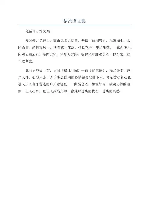 琵琶语文案
