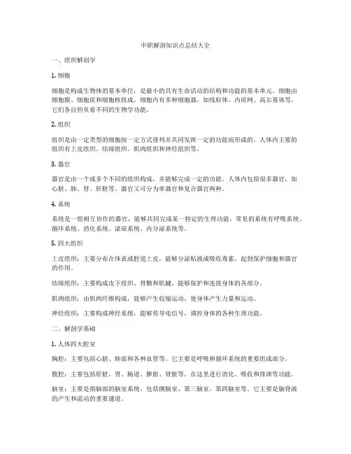 中职解剖知识点总结大全