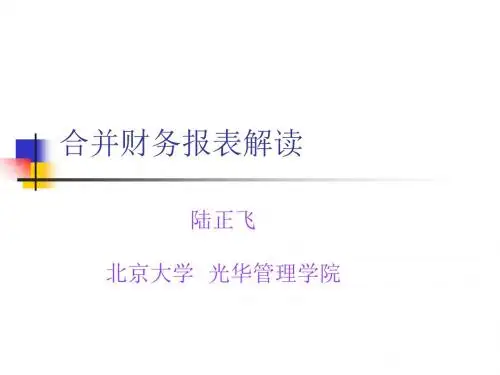 合并财务报表解读-PPT精品文档