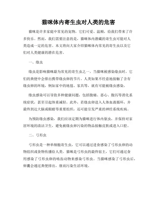猫咪体内寄生虫对人类的危害