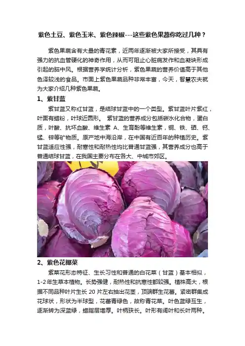 紫色土豆、紫色玉米、紫色辣椒---这些紫色果蔬你吃过几种？