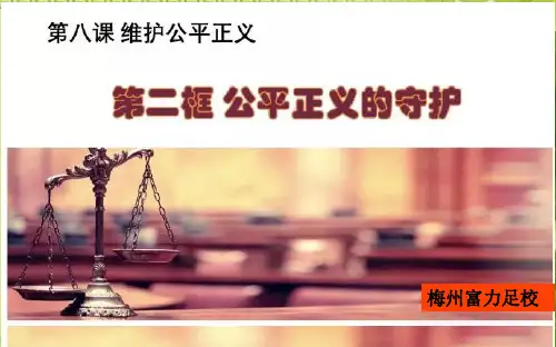 人教版道德与法治八年级下册 8.2公平正义的守护 课件 (共20张PPT)