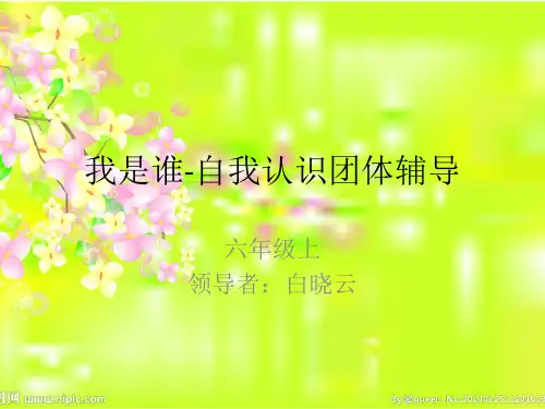 我是谁-自我认识团体辅导