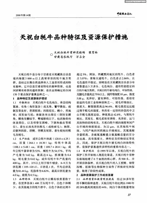 天祝白牦牛品种特征及资源保护措施