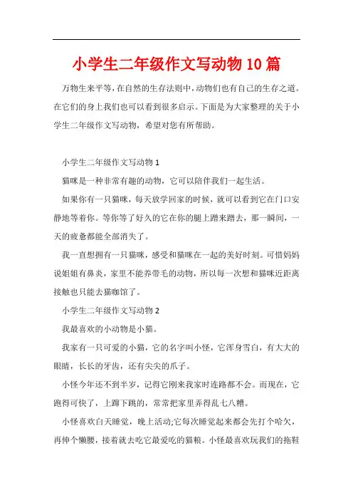 小学生二年级作文写动物10篇