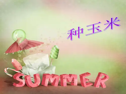 人教版二年级音乐上册：《种玉米》课件03