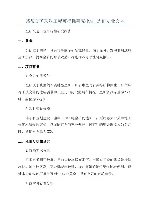 某某金矿采选工程可行性研究报告_选矿专业文本