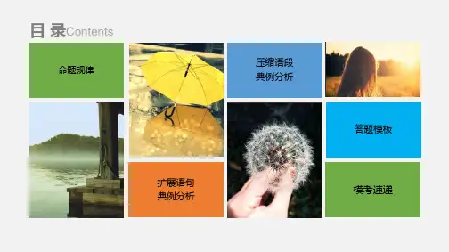 课标版-语文-语言文字运用-3扩展语句、压缩语段