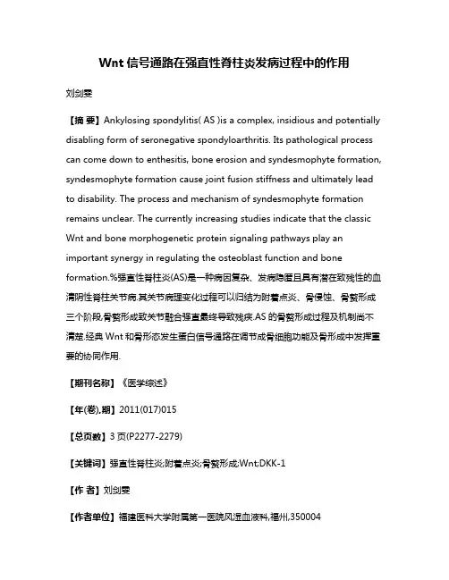 Wnt信号通路在强直性脊柱炎发病过程中的作用