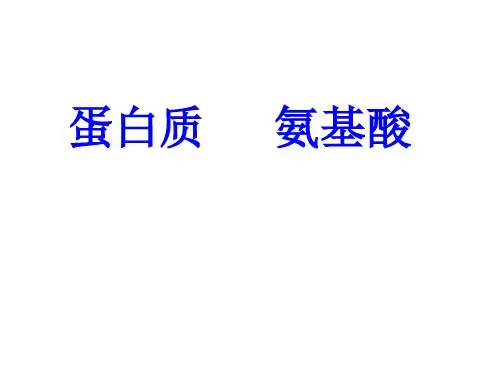 蛋白质和氨基酸