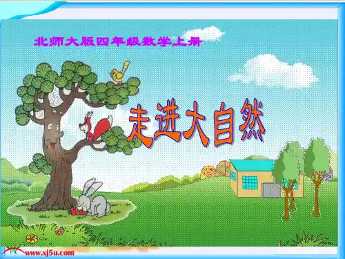北师大版数学四年级上册《走进大自然》PPT课件之一