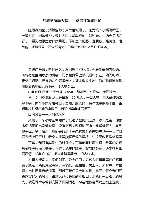 红滩苇海鸟天堂——盘锦红海滩日记