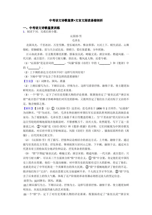 中考语文诗歌鉴赏+文言文阅读易错剖析