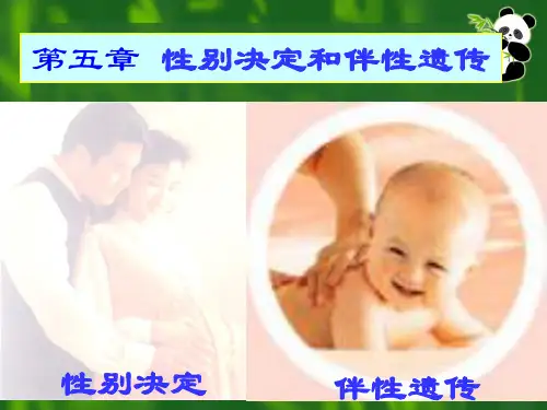 第五章 性别决定与伴性遗传1