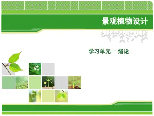 景观植物设计1-2景观植物的分类