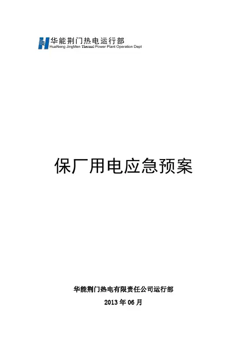 013-保厂用电措施