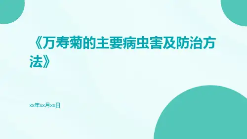 万寿菊的主要病虫害及防治方法