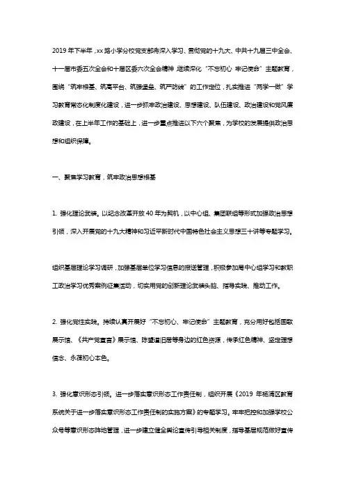 2019年下半年小学党支部工作计划