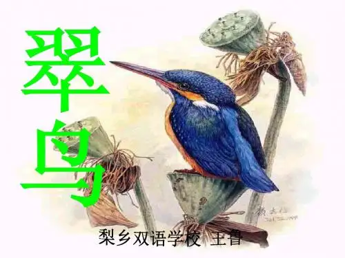 人教版三年级下册语文《翠鸟》精讲