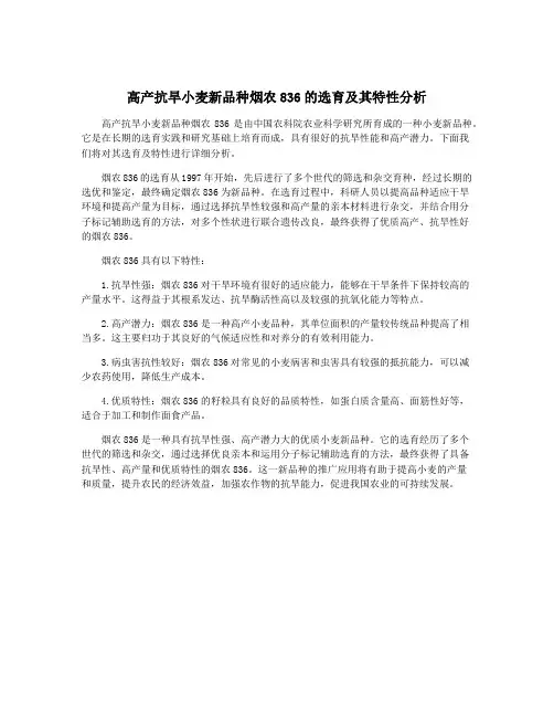 高产抗旱小麦新品种烟农836的选育及其特性分析