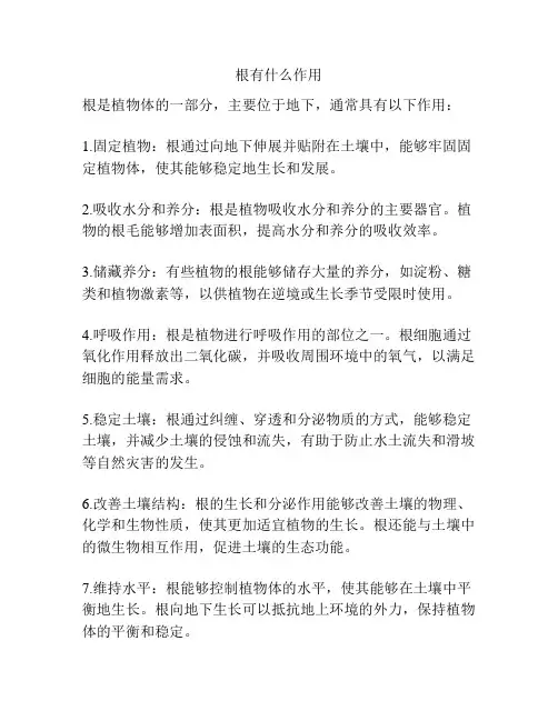 根有什么作用