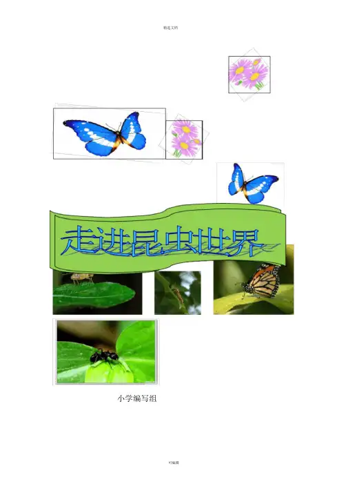 小学校本教材《走进昆虫世界》