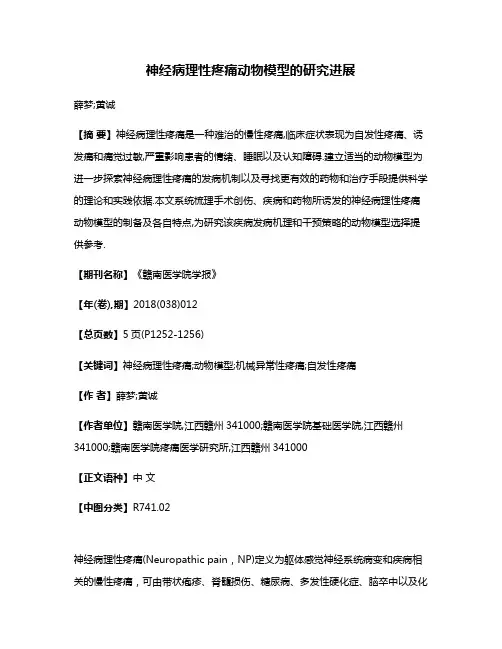 神经病理性疼痛动物模型的研究进展