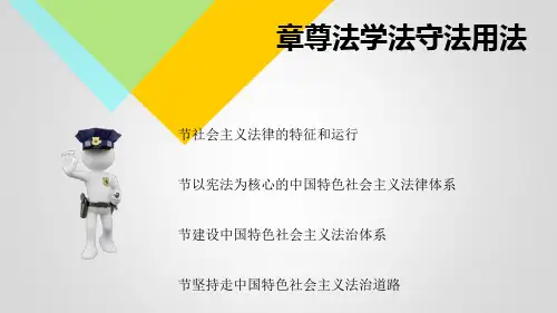 2018版思修思想道德与法律修养第六章后三节[优质ppt]