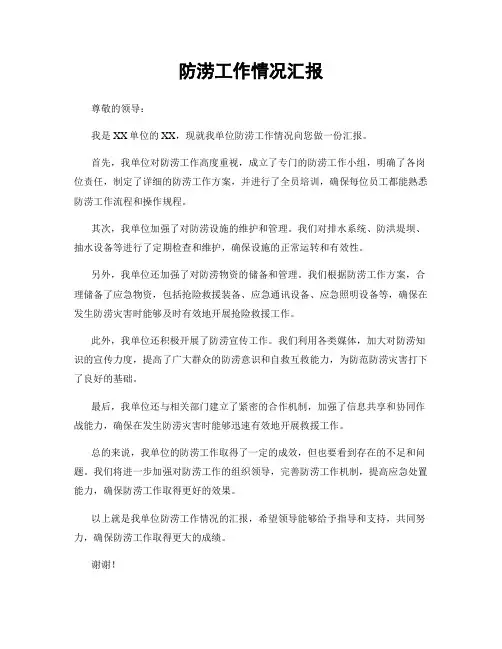 防涝工作情况汇报