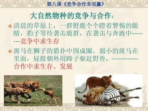 第八课 合作竞争求双赢