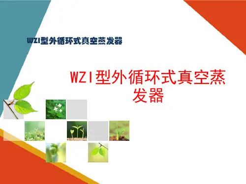 蒸发设备的认知与操作—循环型(非膜式)蒸发器
