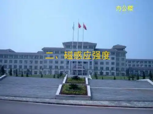 高中物理《磁感应强度》