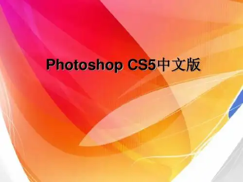 Photoshop CS5中文版仿制图章