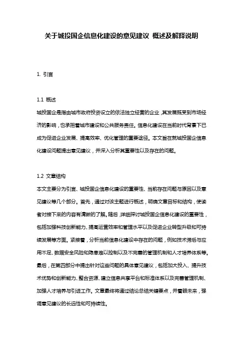 关于城投国企信息化建设的意见建议 概述及解释说明