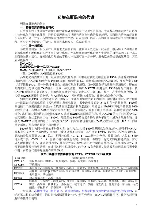 药物在肝脏内的代谢