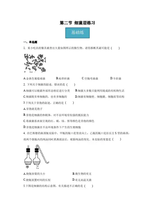 5.4.2 细菌(分层练习)-2024-2025学年八年级生物上册同步精品课堂(人教版)(原卷版)
