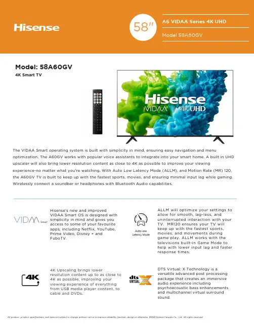 Hisense 58A60GV 4K 智能TV 说明文件说明书