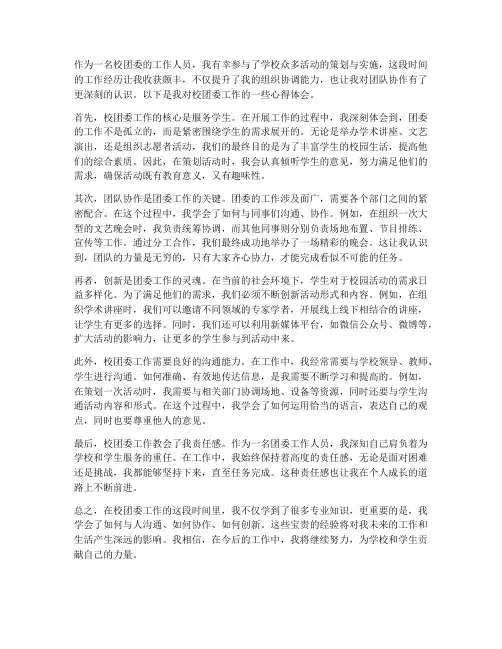校团委工作个人心得体会