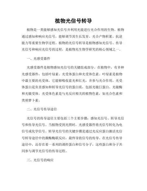 植物光信号转导