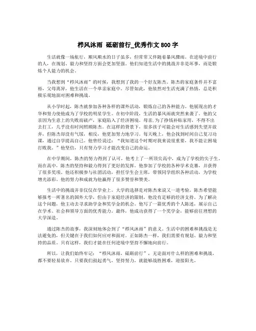 栉风沐雨 砥砺前行_优秀作文800字