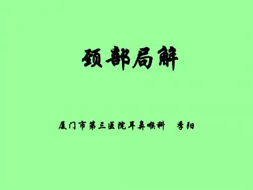 颈部局解应用解剖