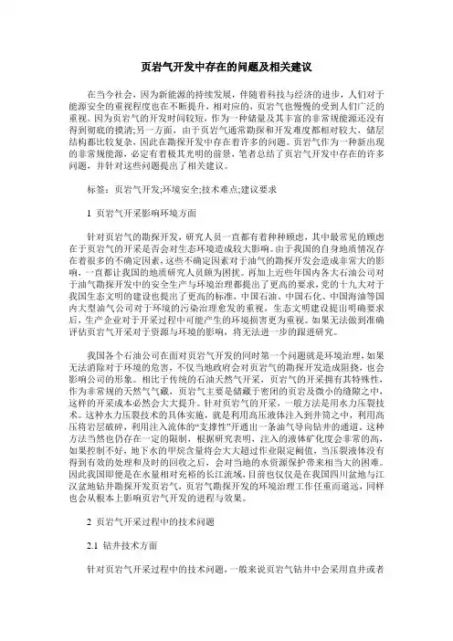 页岩气开发中存在的问题及相关建议