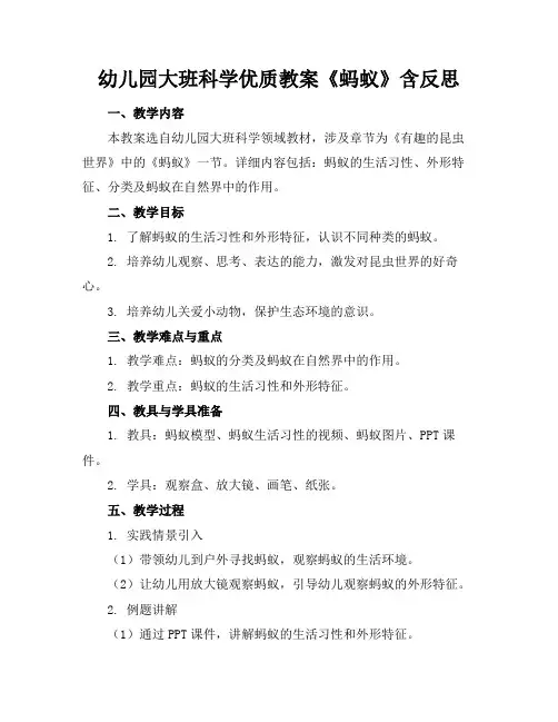 幼儿园大班科学优质教案《蚂蚁》含反思