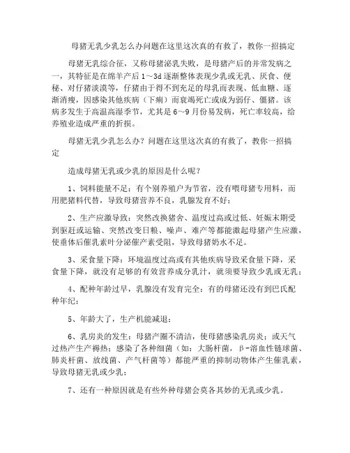 母猪无乳少乳怎么办问题在这里这次真的有救了,教你一招搞定