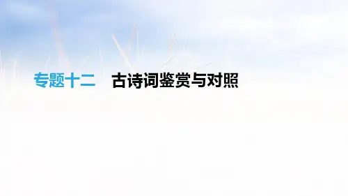 专题12古诗词鉴赏与对比