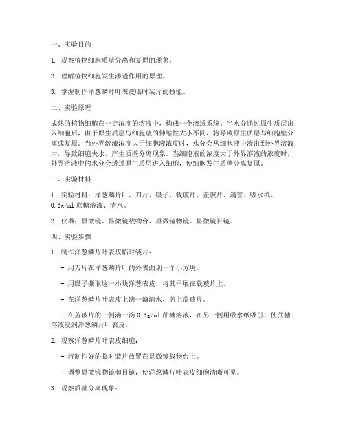 质壁分离实验报告